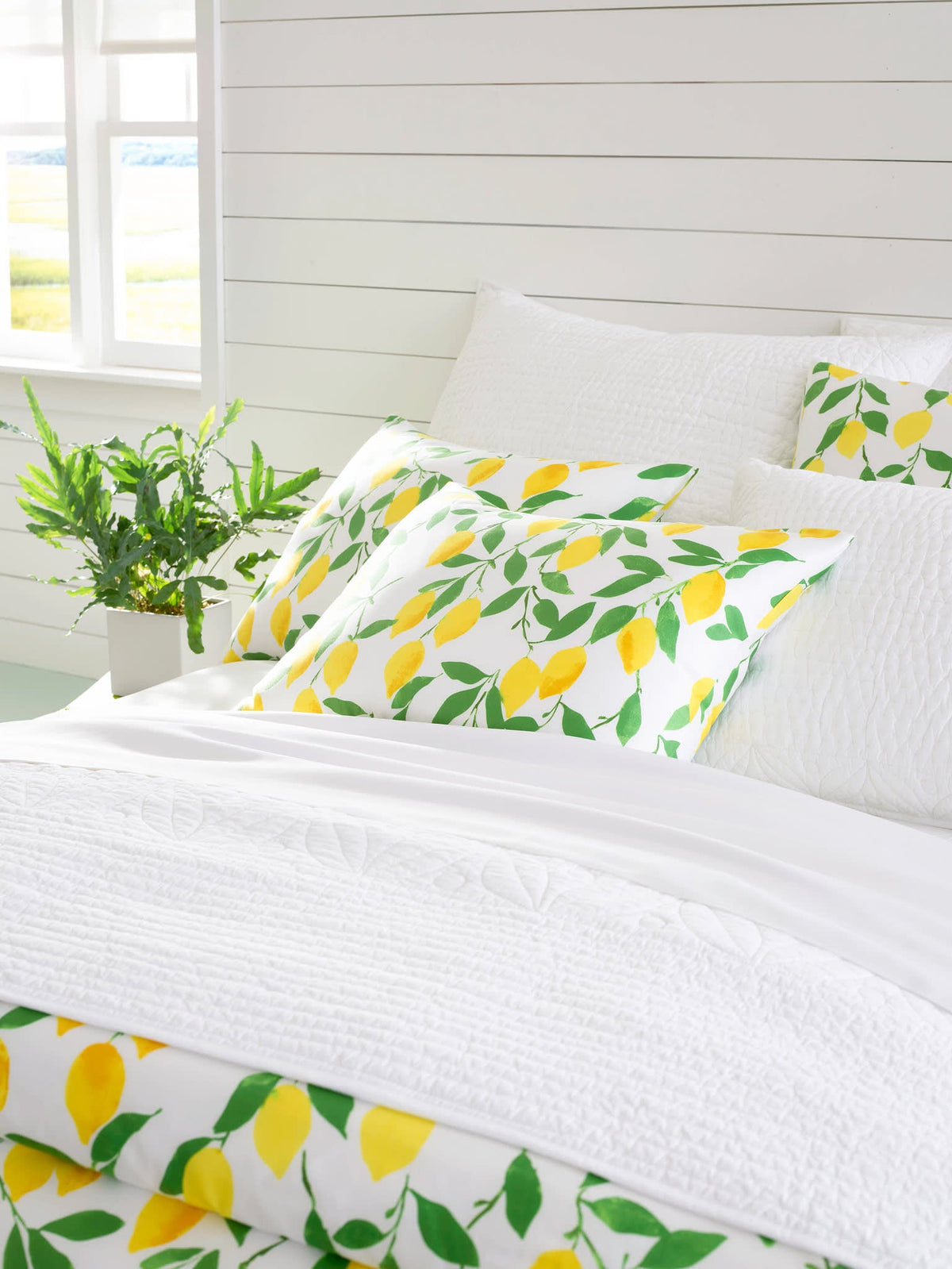 Tea & Toast Quilted Sham | White
