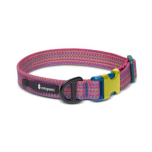 Del Día Dog Collar