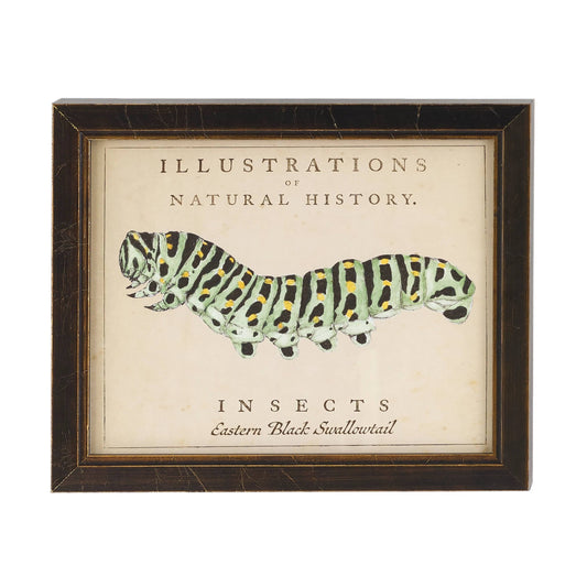 Vintage Caterpillar Wall Art | Ivory