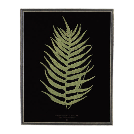 Vintage Fern Wall Art | Black