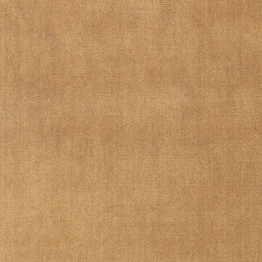 Taniea Modern Tan Rug Swatch | Tan