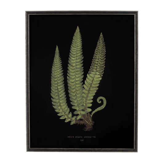 Vintage Fern Wall Art | Black