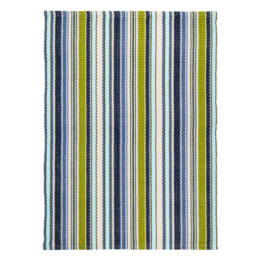 Pond Stripe Handwoven Indoor/Outdoor Rug | Multi