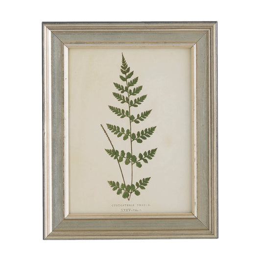 Vintage Fern Wall Art | Ivory