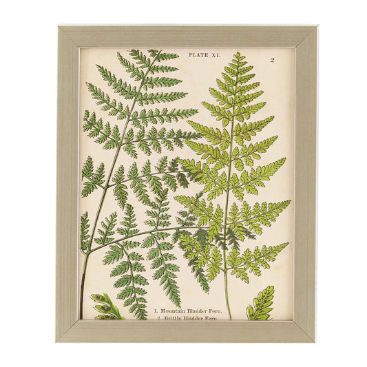 Vintage Fern Collage Wall Art | Ivory