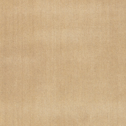 Iania Modern Solid Rug Swatch | Ivory