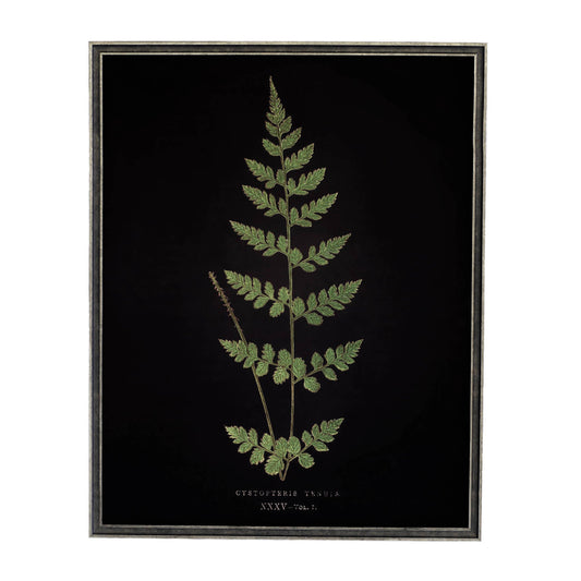 Vintage Fern Wall Art | Black